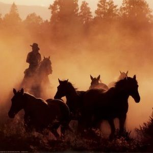 Meet your Posher, Bridget